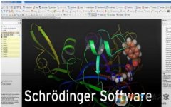 schrodinger|SchrodingerSuitesv9.957Я  