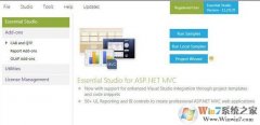 EssentialStudio|EssentialStudiov10.489ĸ˰  