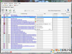 seo|SEOSpyGlassv11.147°  
