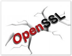 openssl|opensslWindowshOpenSSLv3.435콢  